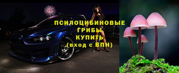 PSILOCYBIN Заволжье