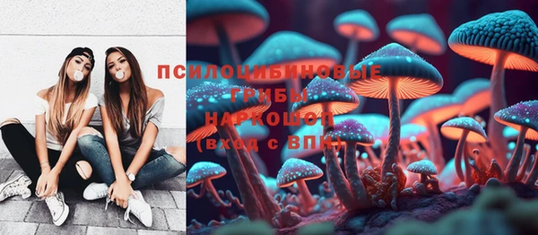 PSILOCYBIN Заволжье