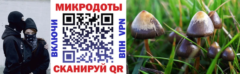 Галлюциногенные грибы мухоморы  Купить  Ковылкино 